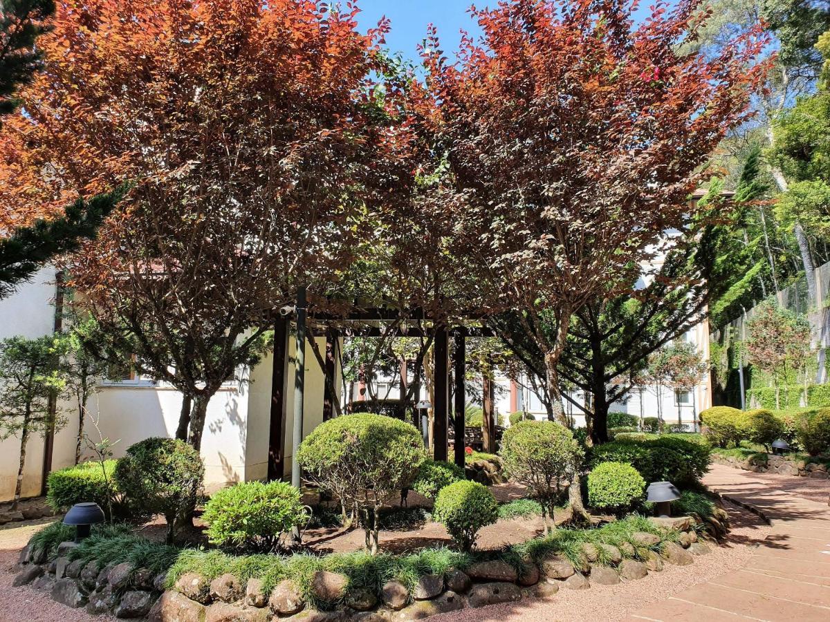 Apto No Centro De Gramado Com Piscina Termica Exterior photo